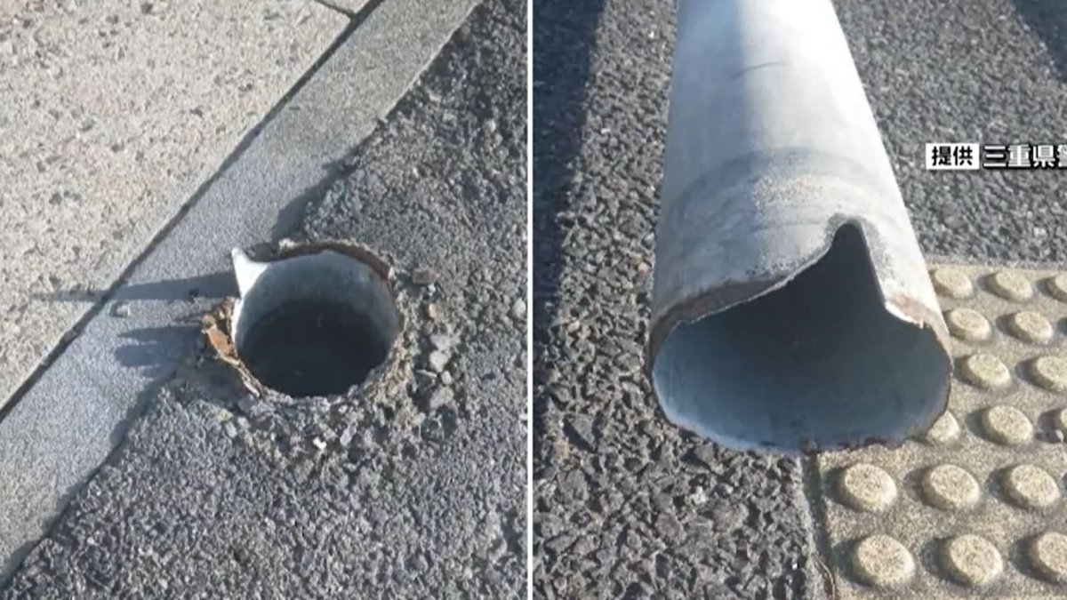 Dog Pee Caused a Traffic Pole to Snap in Japan – NBC 6 South Florida