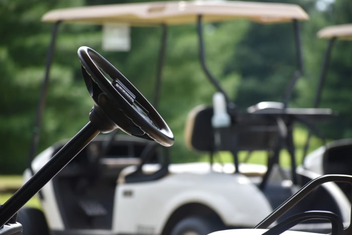 Florida man gets 2 years in prison for golf cart thefts