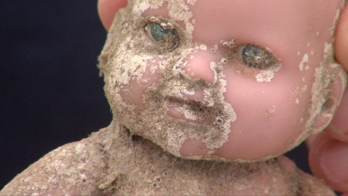 Creepy Dolls Keep Washing Up on Texas Beaches – NBC 6 South Florida